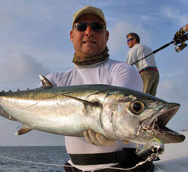 Popperfischen und auch der Einsatz von Stickbaits bringt Bisse von Dogtooth Tuna an der Oberfläche